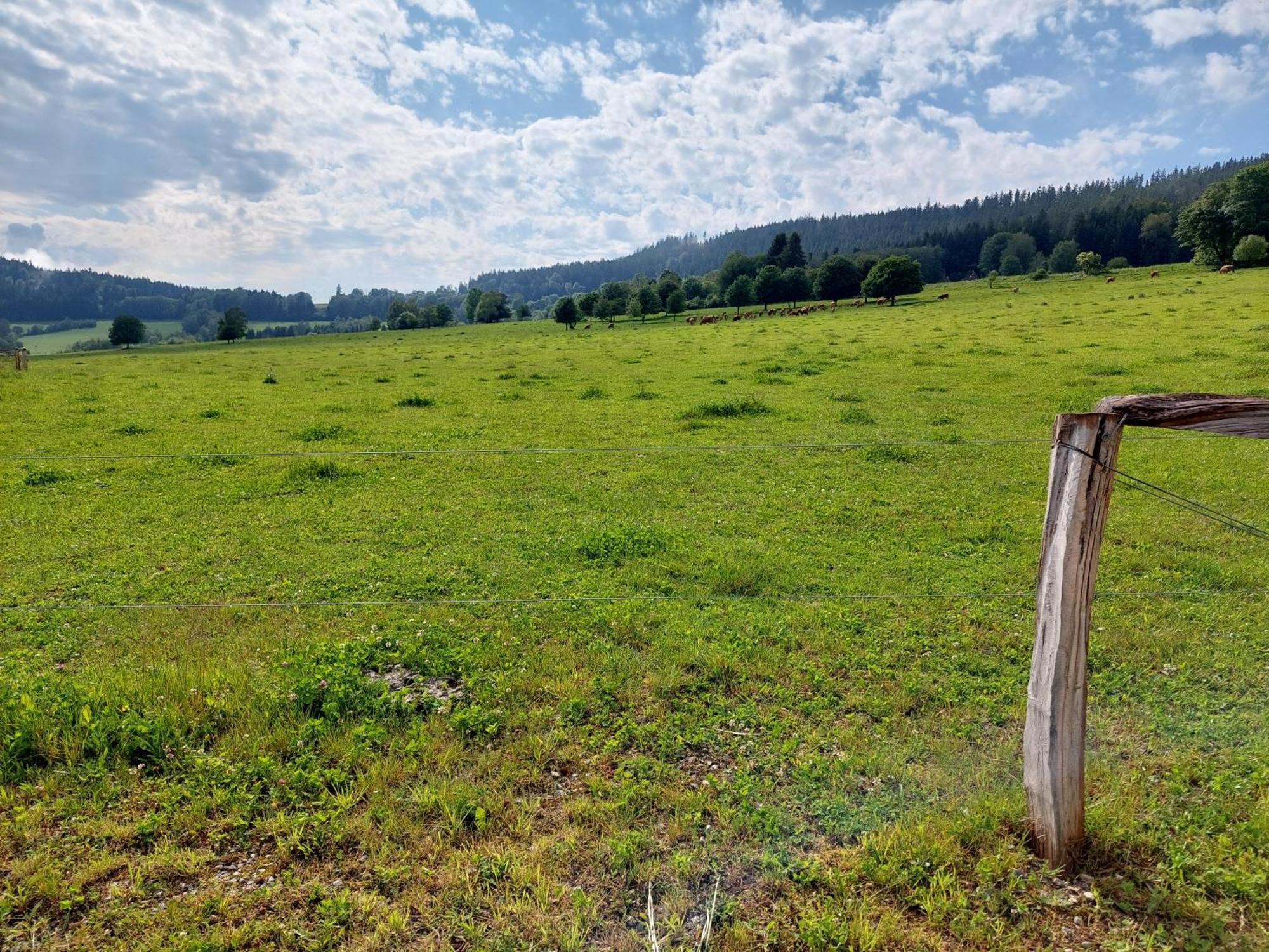 Penzion Slupecna Lipno nad Vltavou Eksteriør bilde